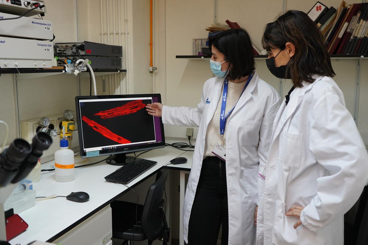 Laboratori de Malalties Cardiovasculars