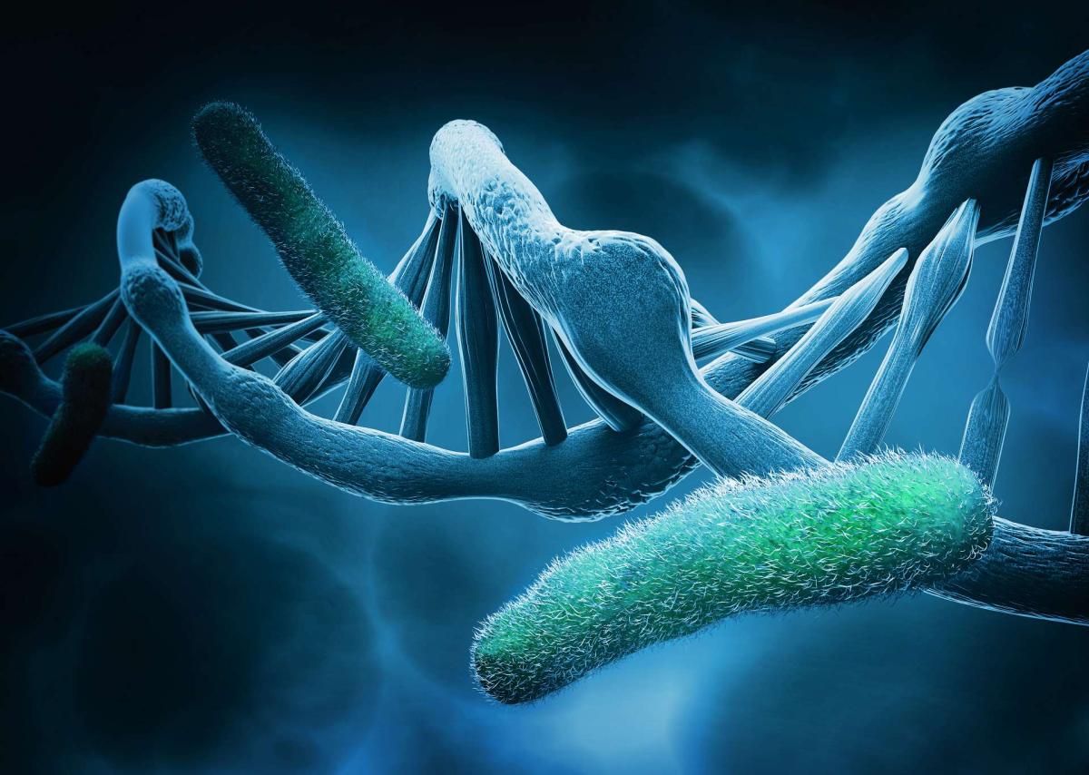 DNA-bacteria-CIBER