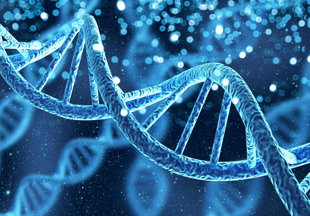 Molècula de DNA