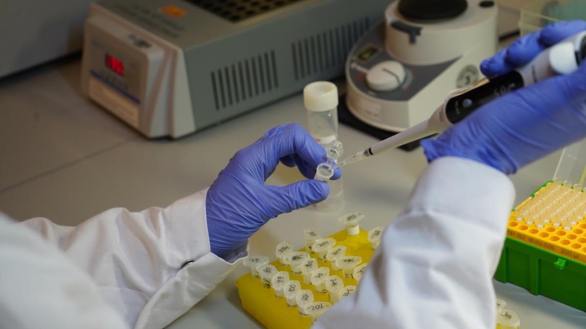 Laboratori