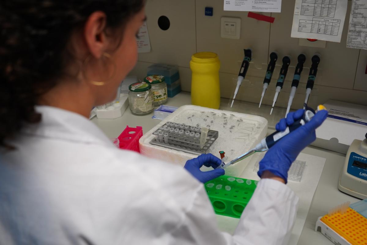 Laboratori del grup de Càncer i Malalties Hematològiques Infantils del VHIR