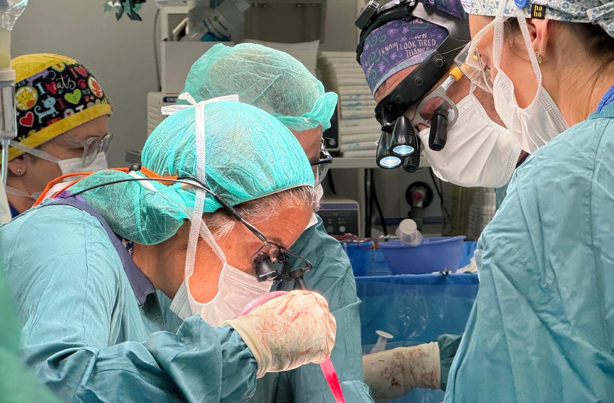 Cirurgia de colangiocarcinoma