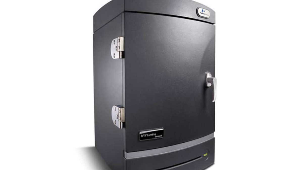 Imatge òptica d'alt rendiment: IVIS Spectrum i IVIS Lumina