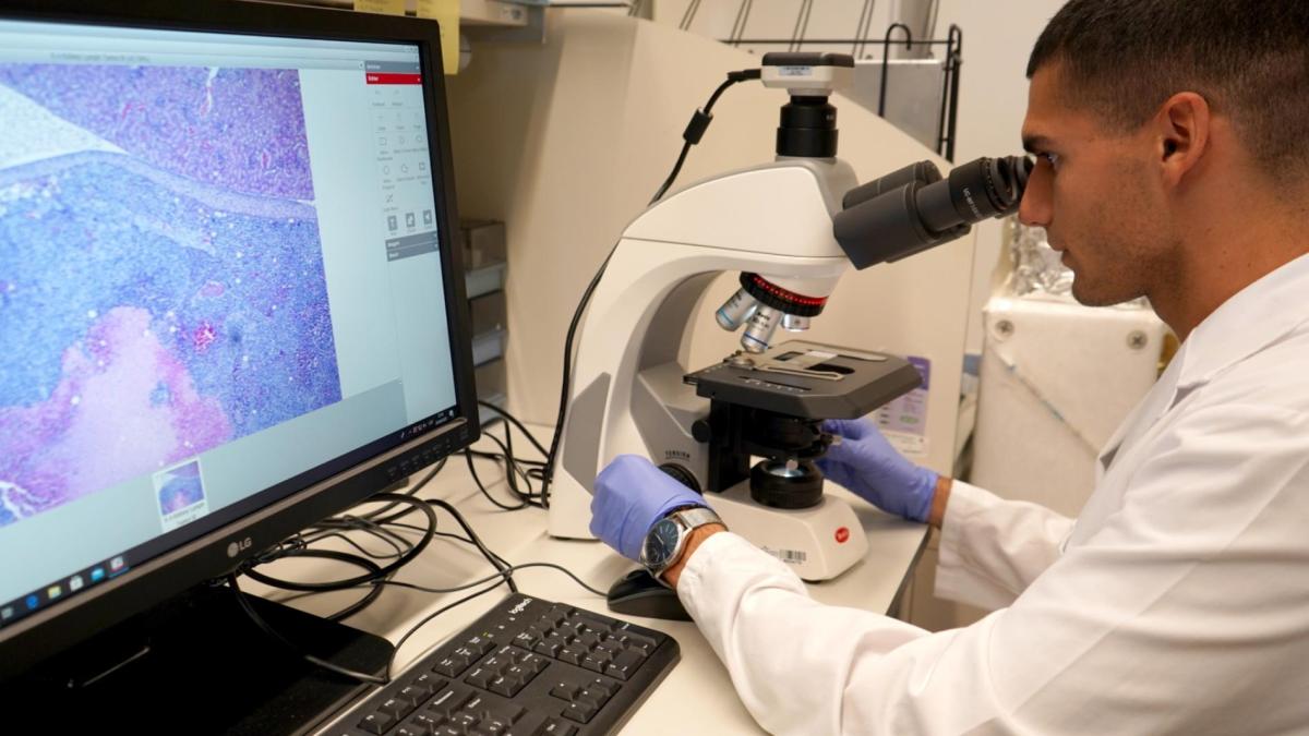 Laboratori del grup de Càncer i Malalties Hematològiques Infantils del VHIR