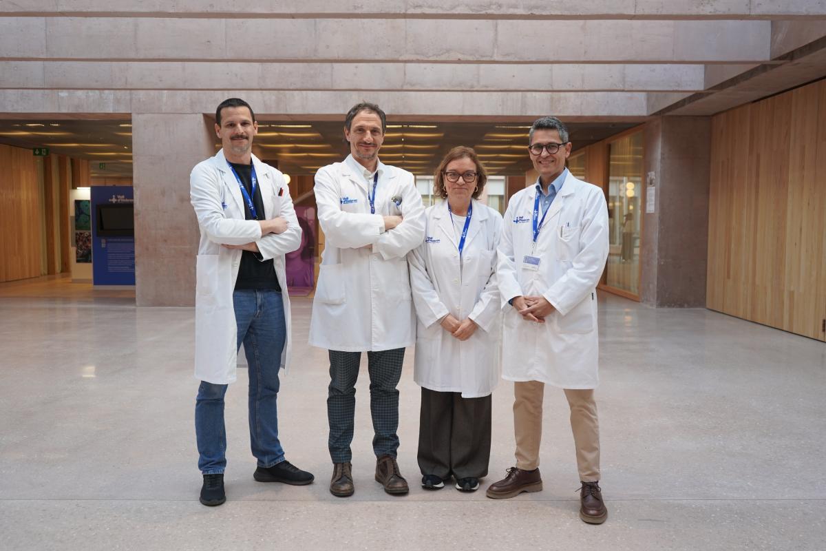 Equip del grup de Psiquiatria, Salut Mental i Addiccions del VHIR que ha participat en l'estudi