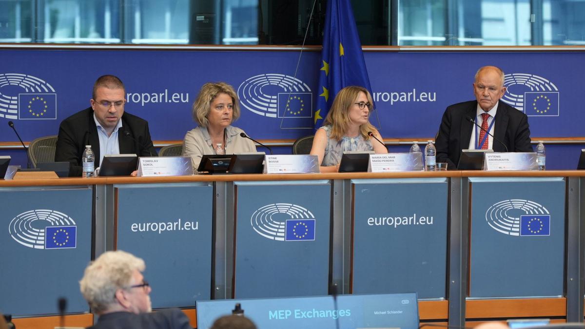 Dr. Mar Mañú in the European Parliament