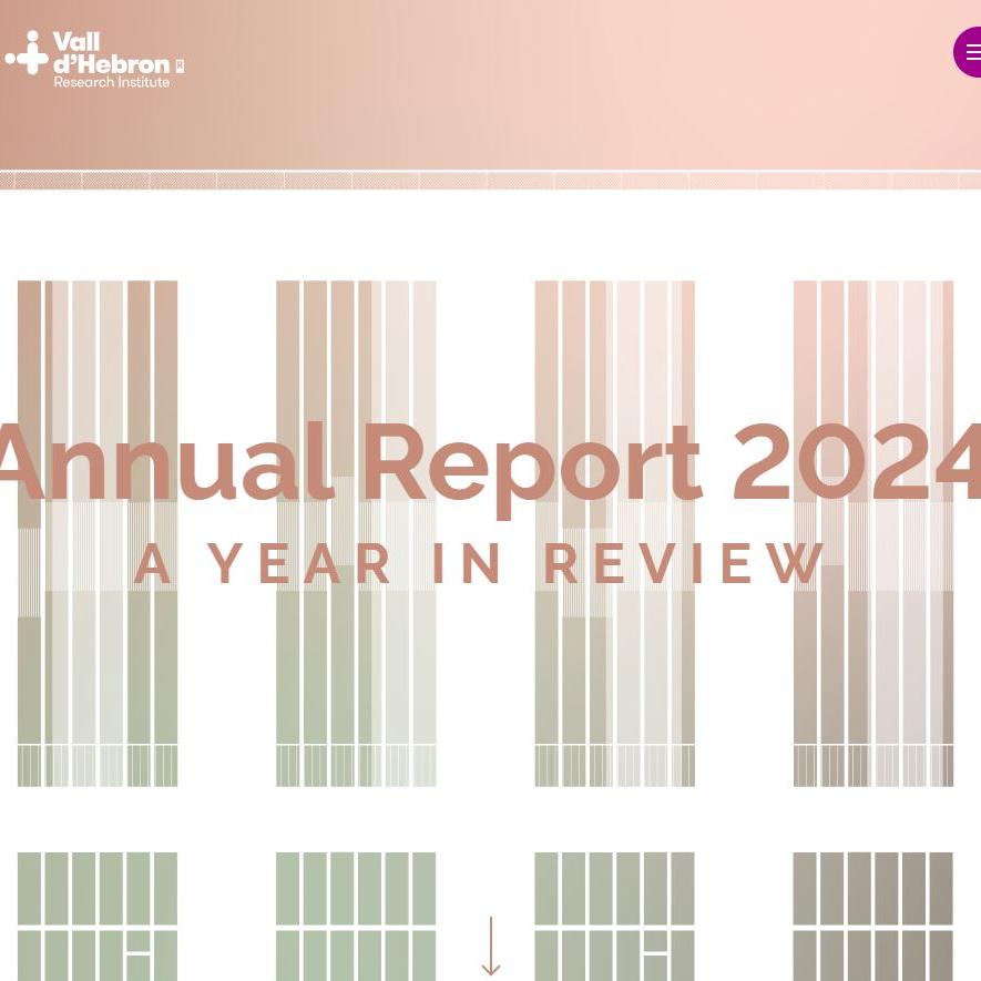 Annual Report VHIR 2024