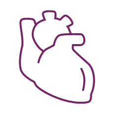 banc de cardiologia