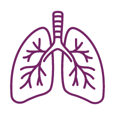 banc pulmonar