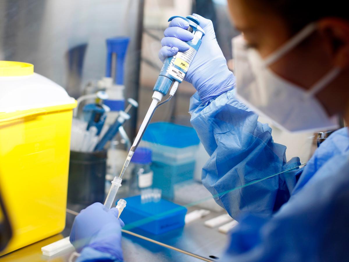 VHIR Phd Programme