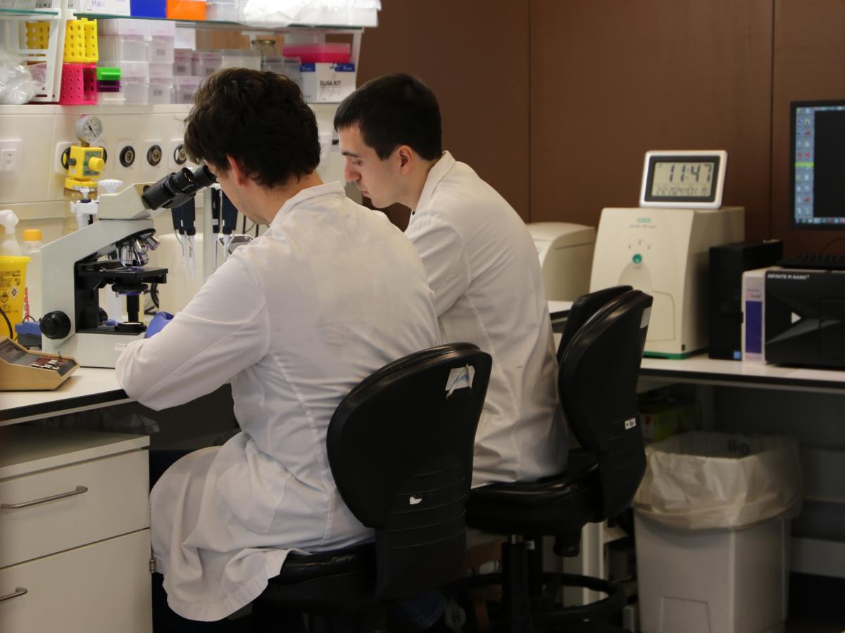 Laboratori a l'Edifici Central del VHIR