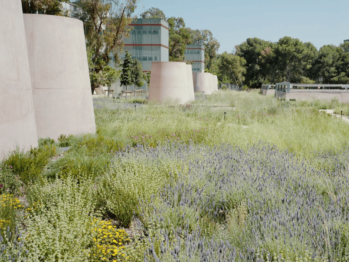 vhir terrat verd xemeneies