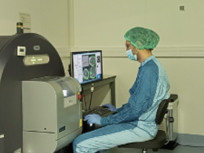 Investigador a la PIP