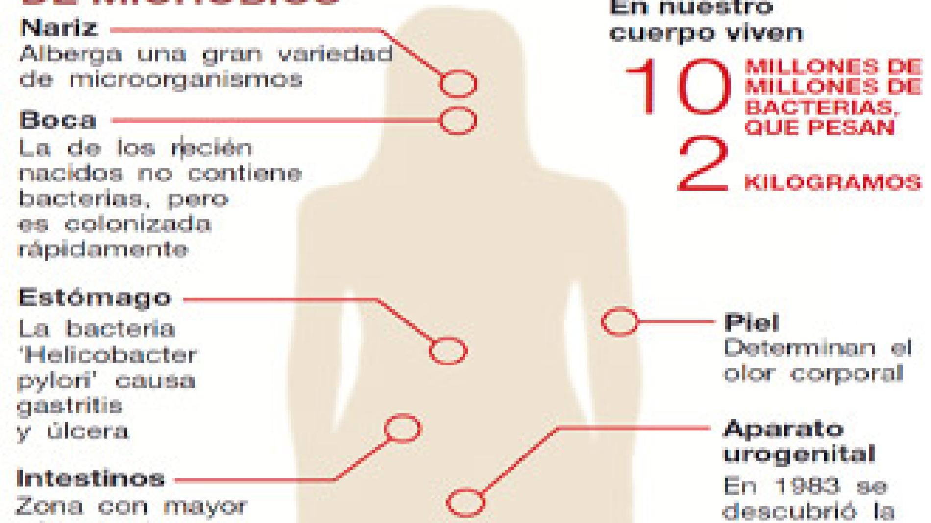 2010_0069_2010_0069_IMATGE