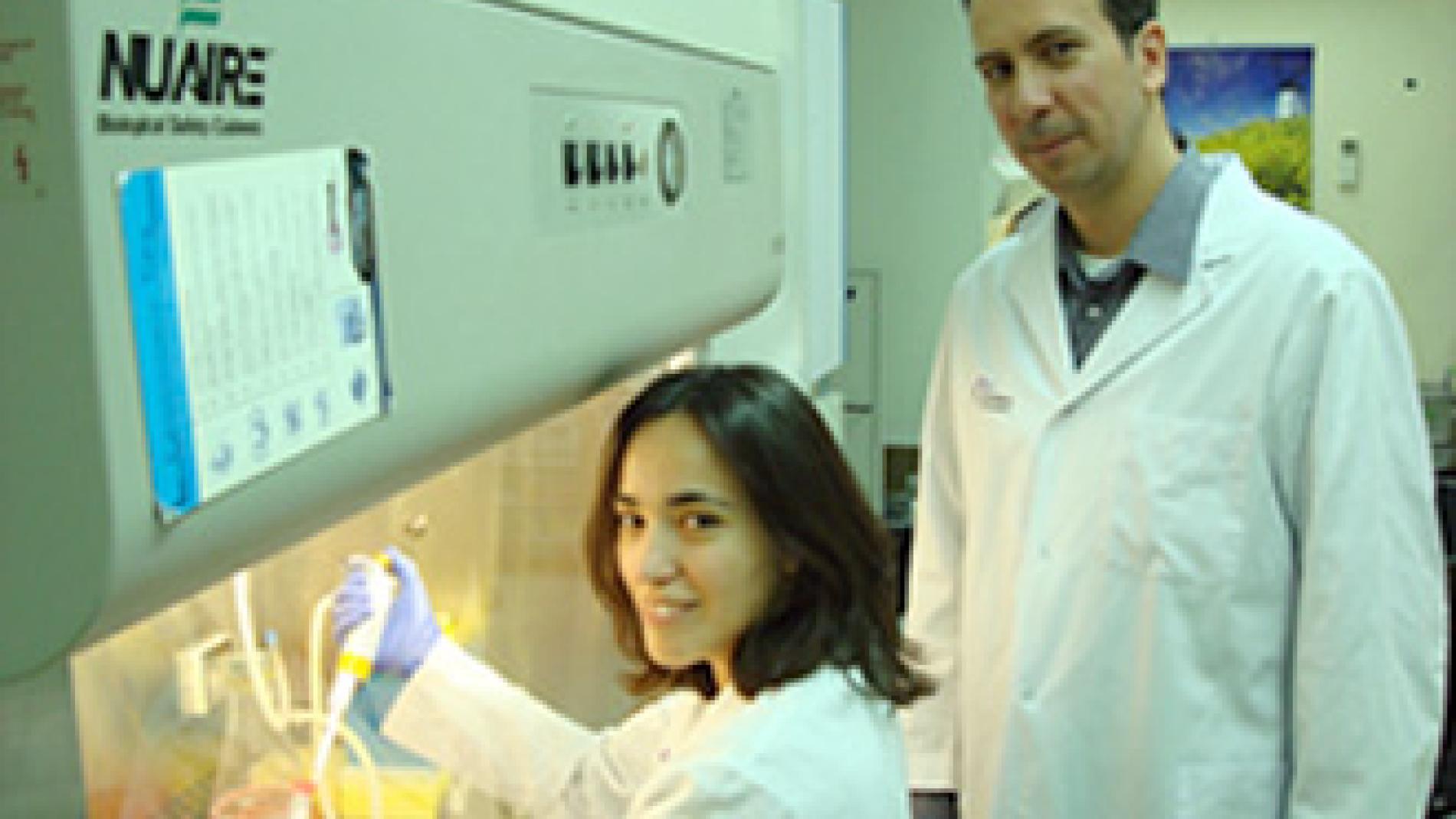 2010_0076_2010_0076_IMATGE