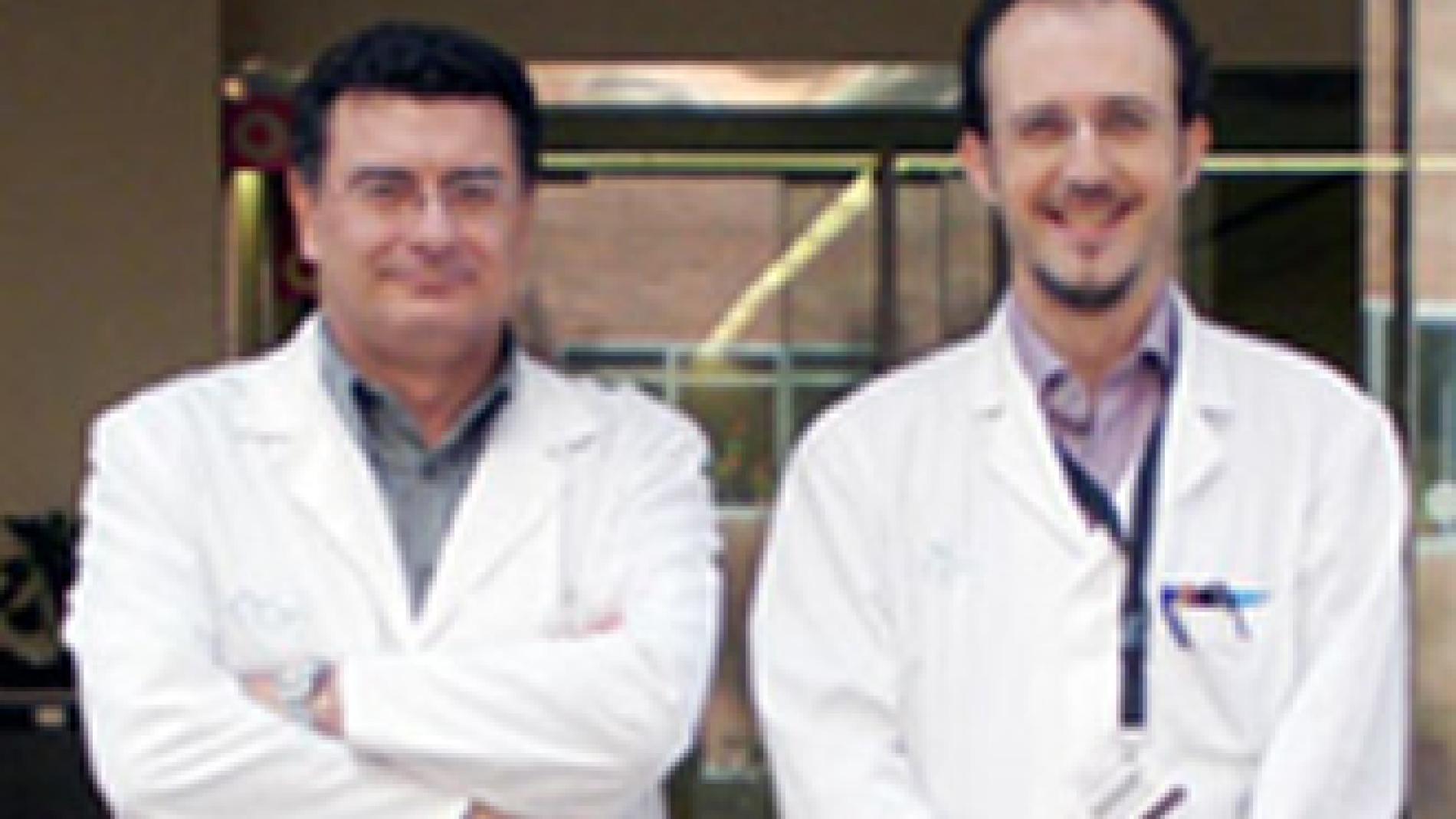 2010_0087_2010_0087_IMATGE