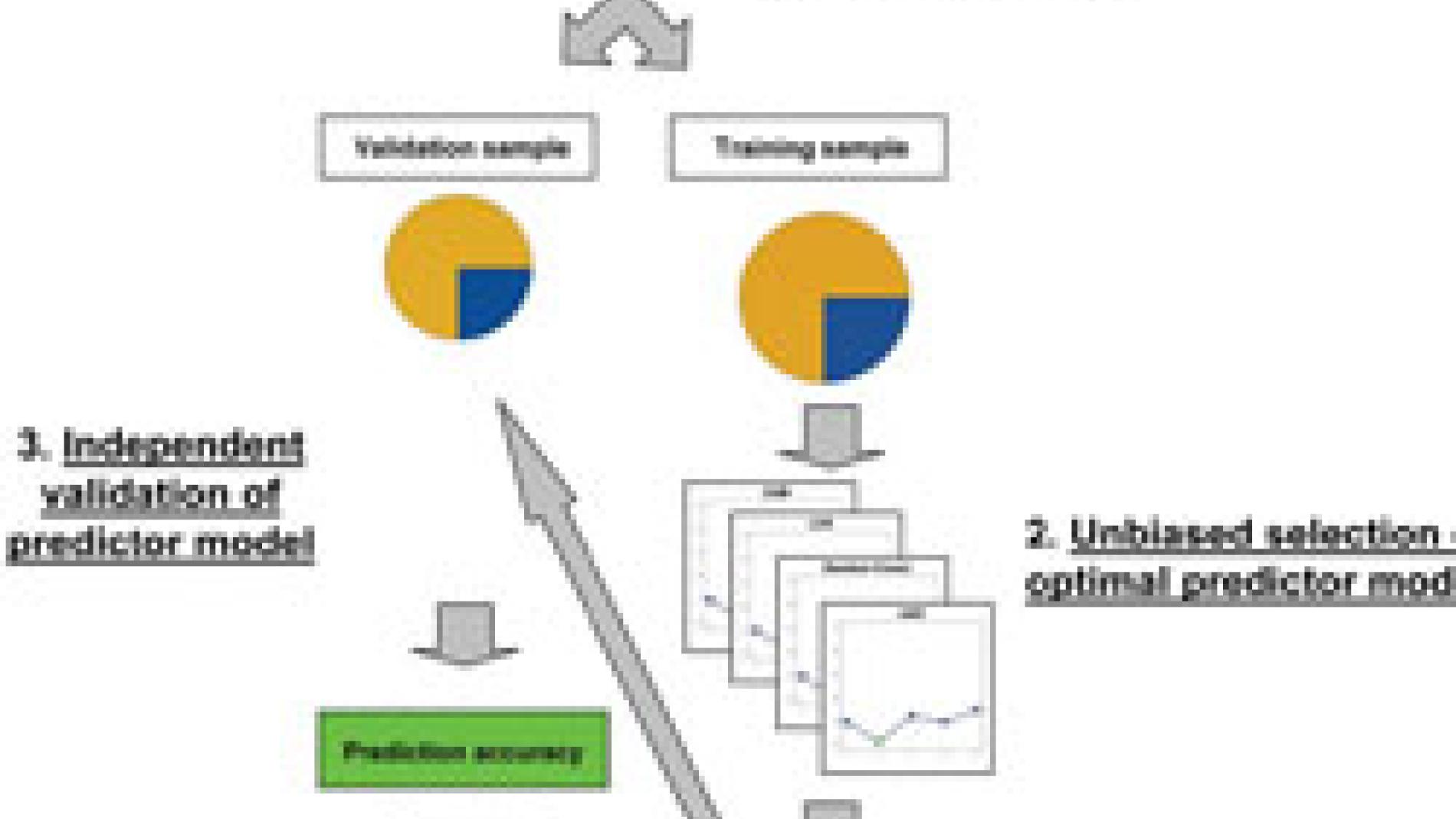 2010_0108_2010_0108_IMATGE