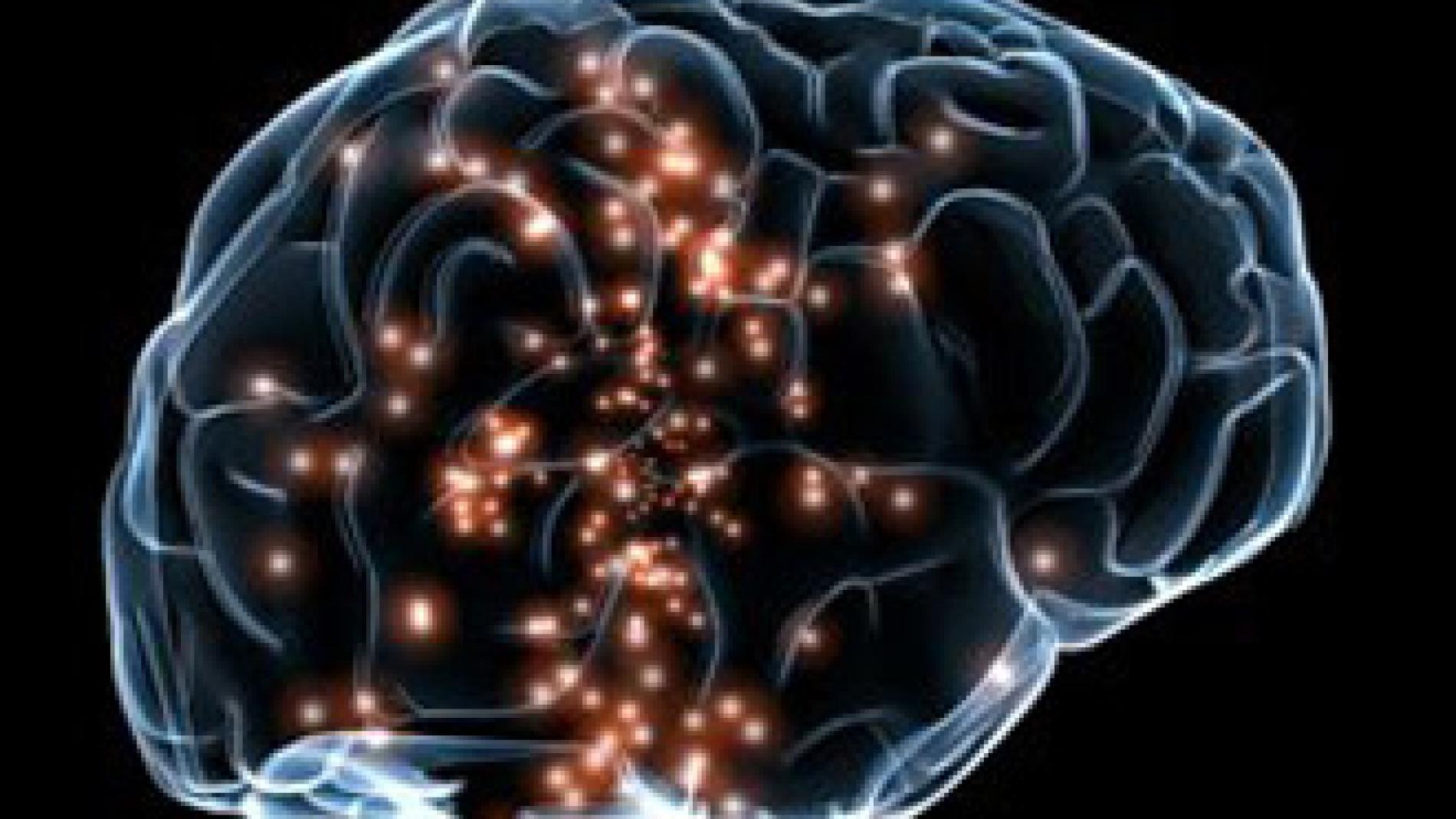 2010_0114_2010_0114_IMATGE