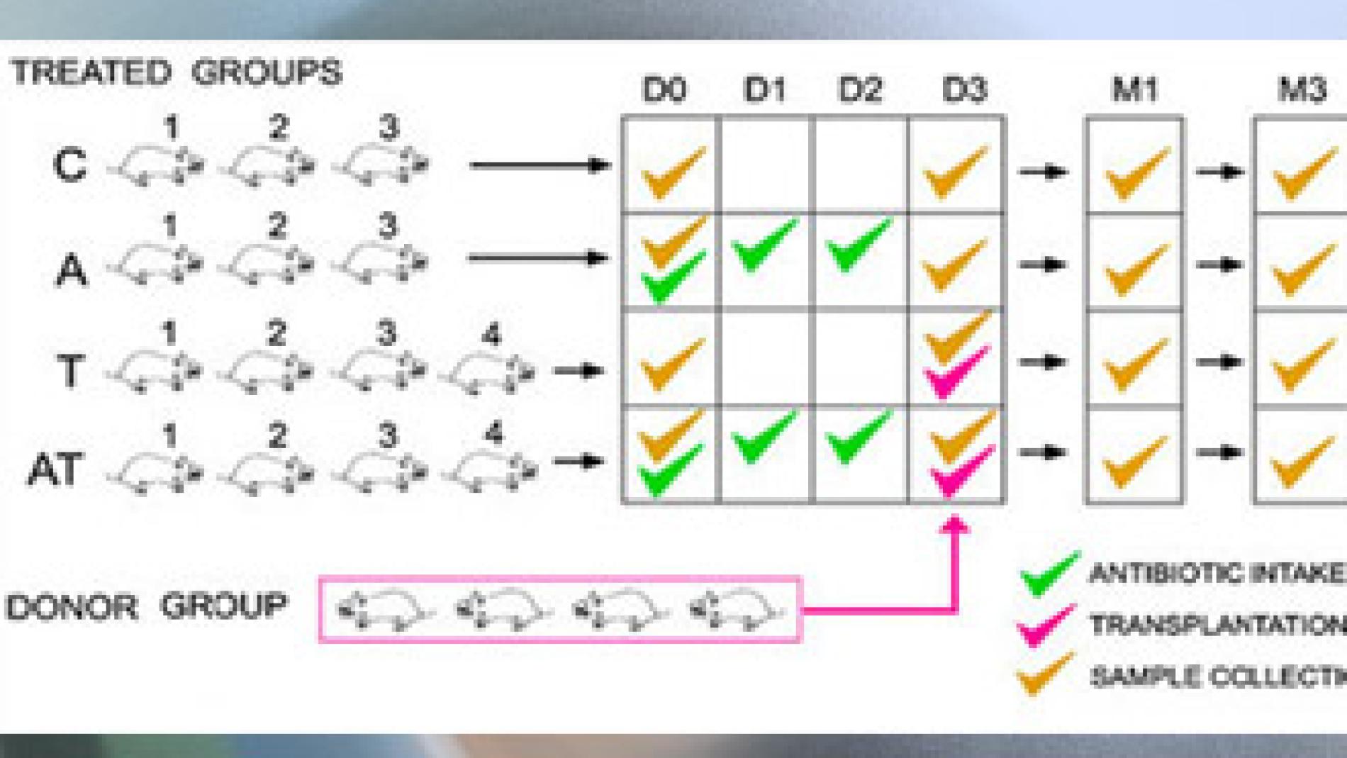 2010_0189_2010_0189_IMATGE