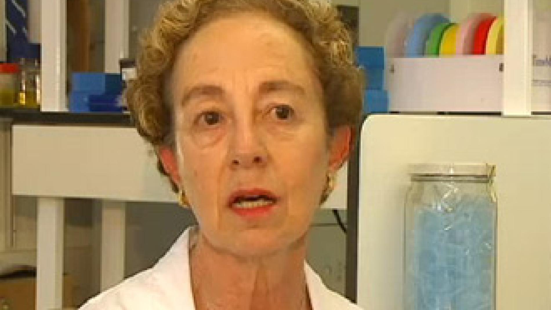 2010_0190_2010_0190_IMATGE