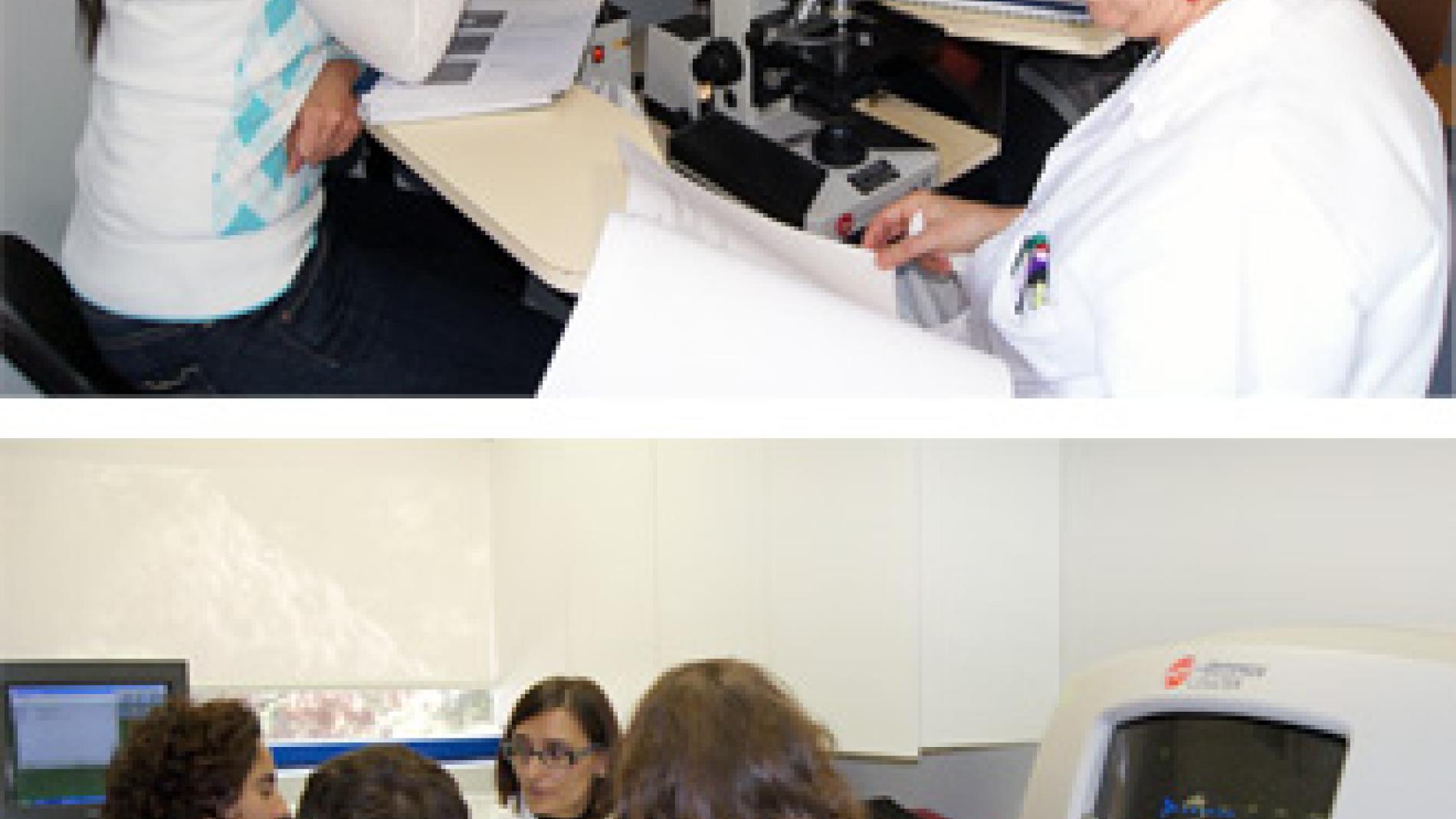 2010_0234_2010_0234_IMATGE