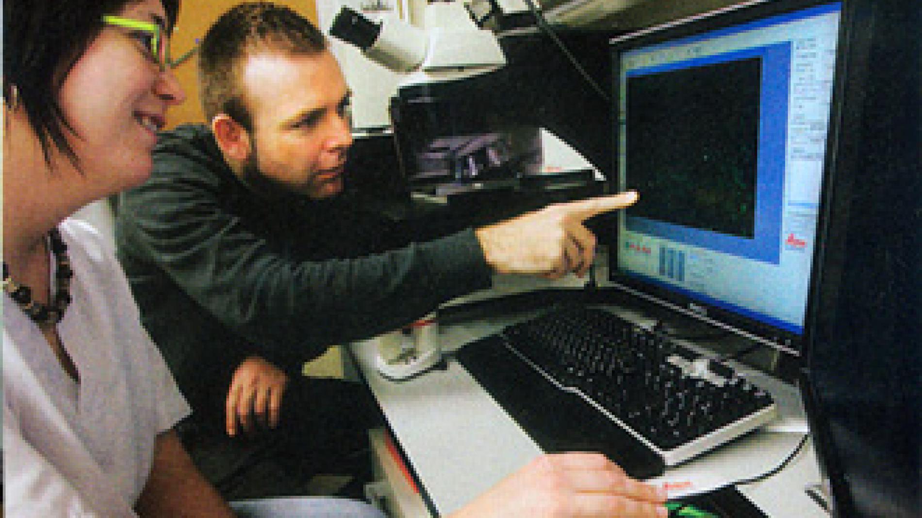 2010_0245_2010_0245_IMATGE