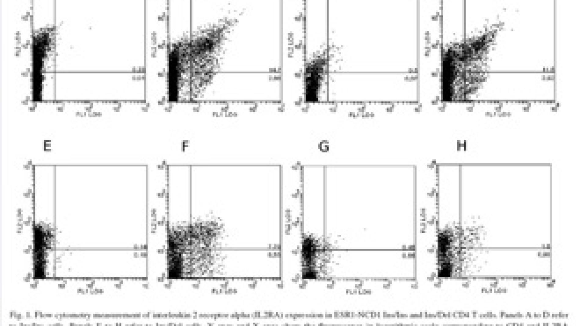 2010_0250_2010_0250_IMATGE