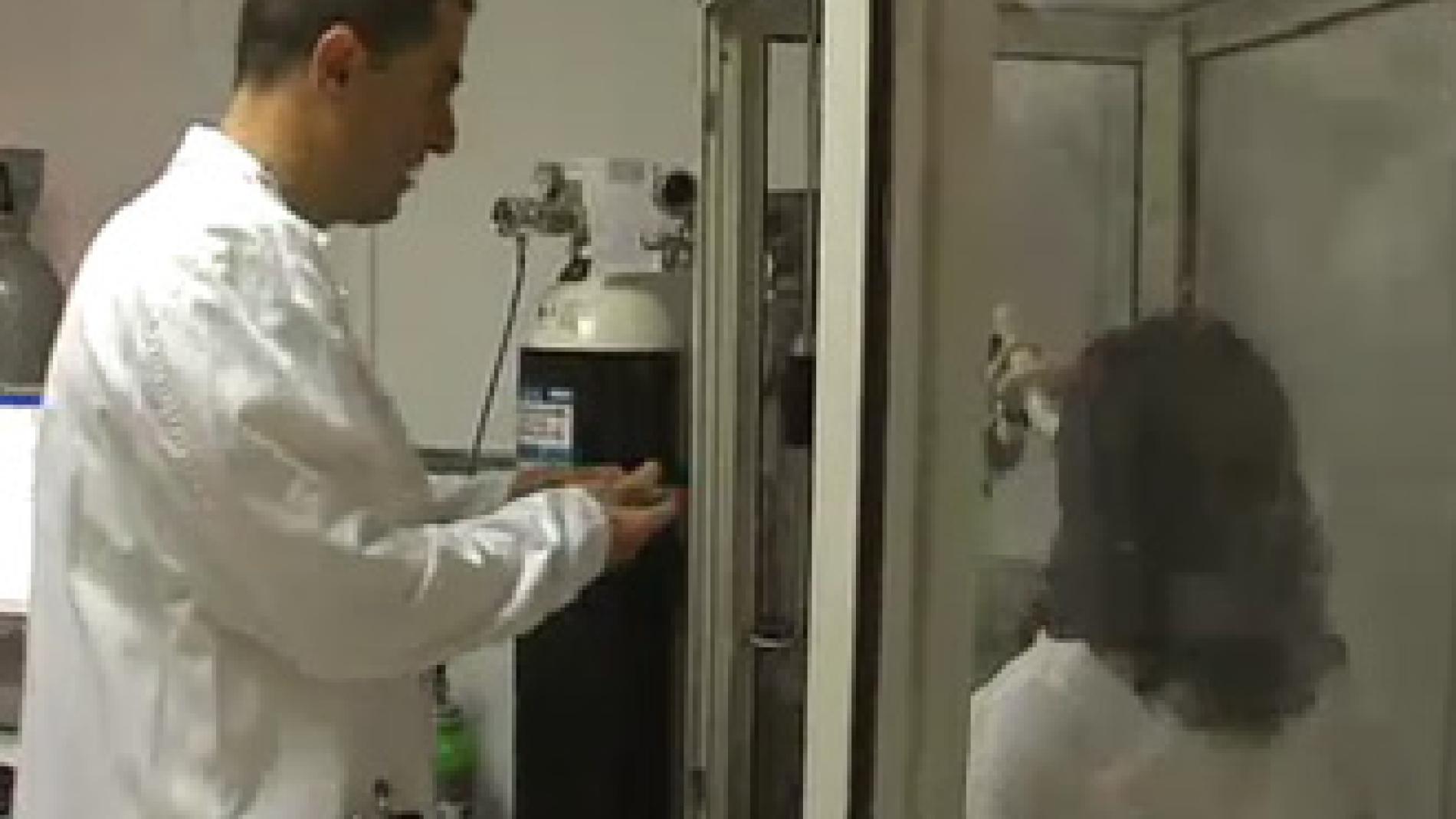 2010_0252_2010_0252_IMATGE