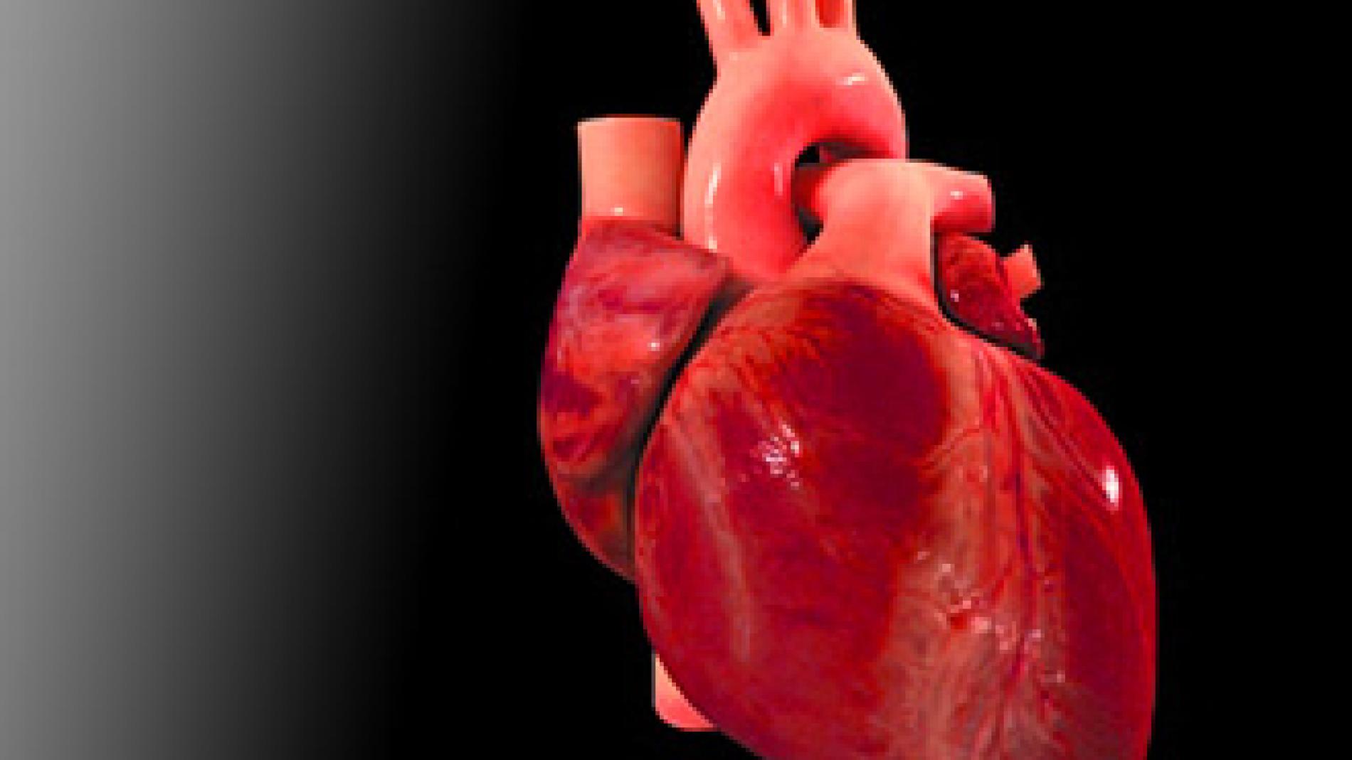 2010_0261_2010_0261_IMATGE