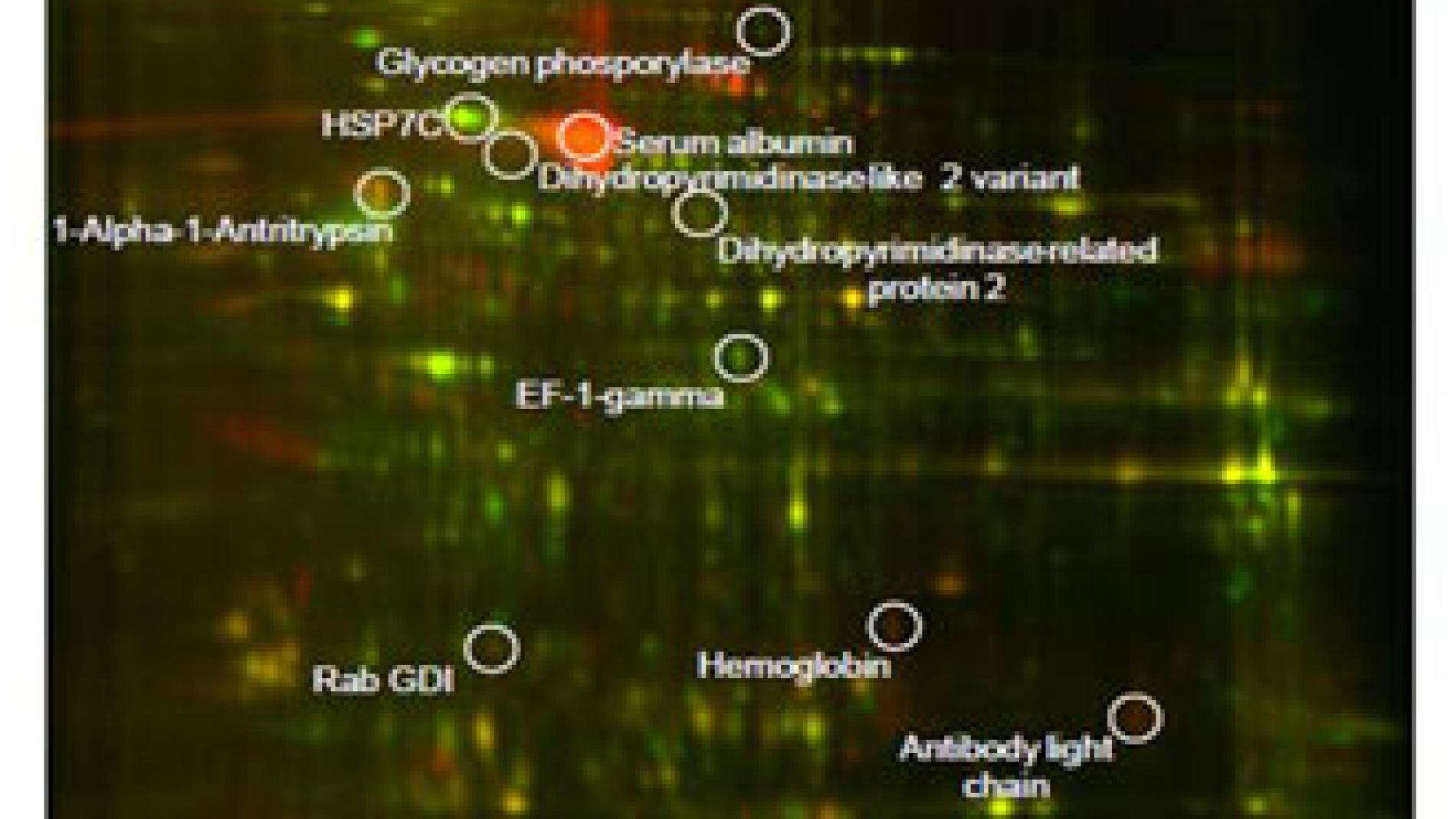 2010_0276_2010_0276_IMATGE
