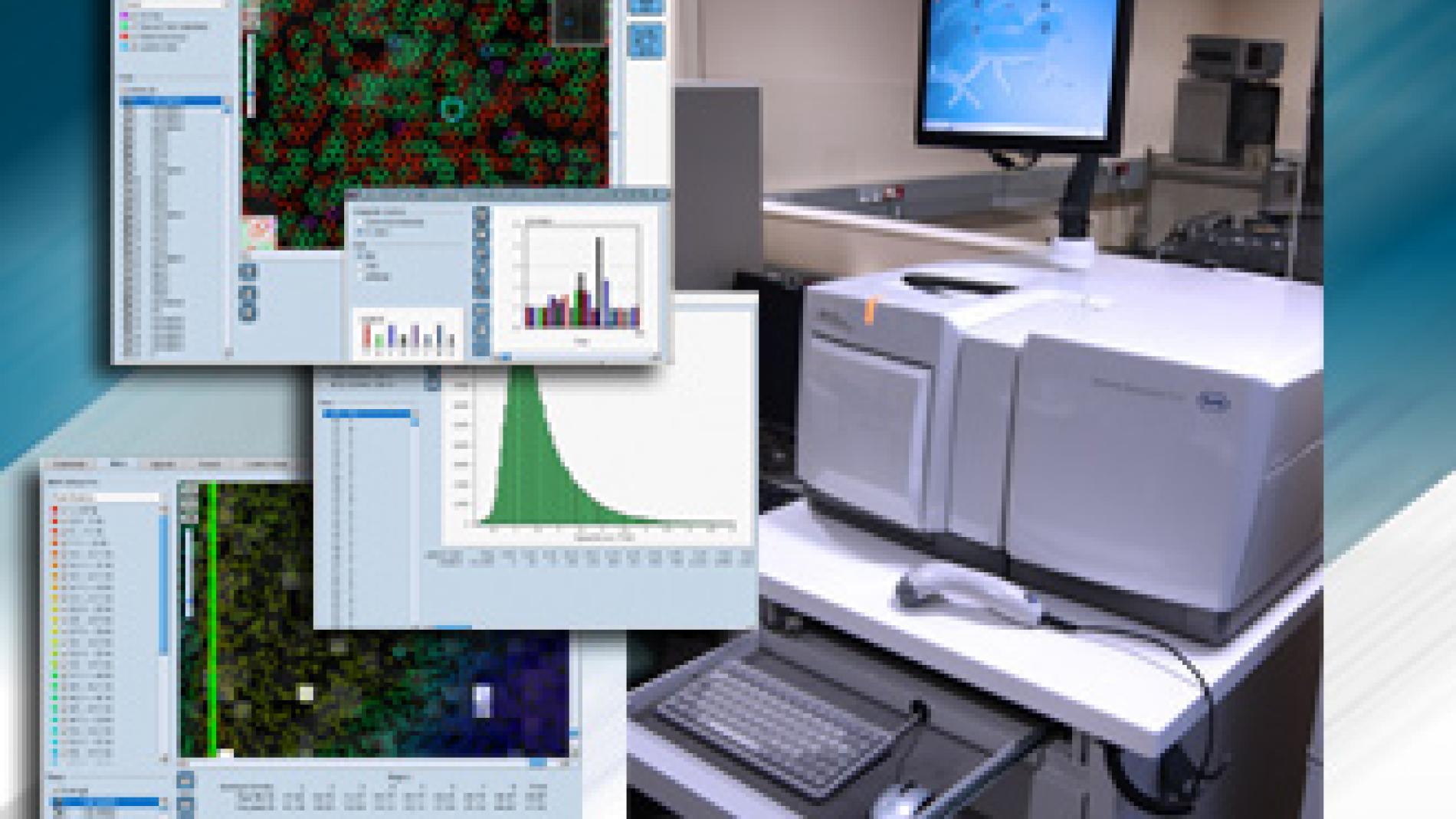 2011_0049_2011_0049_IMATGE