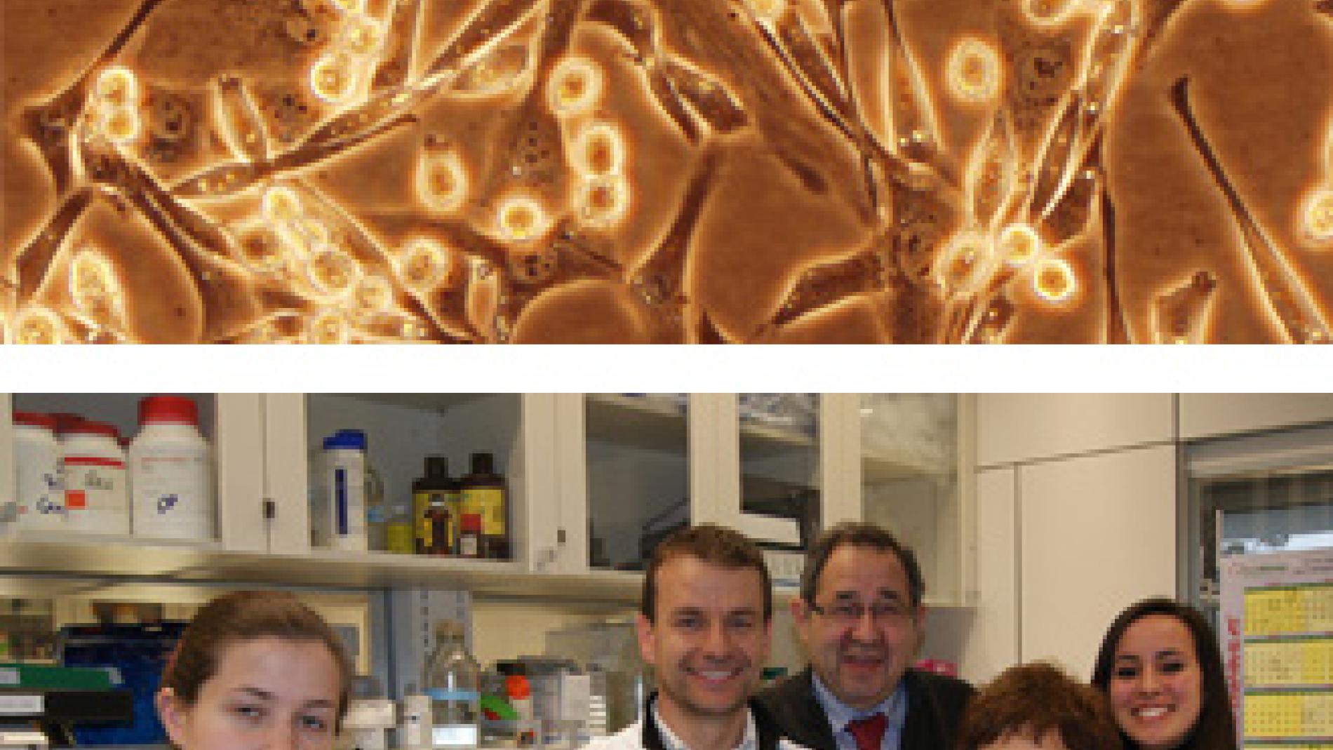 2011_0056_2011_0056_IMATGE