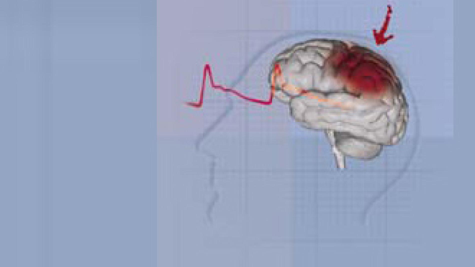 2011_0058_2011_0058_IMATGE