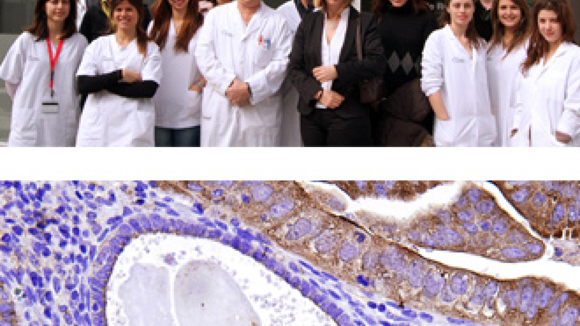 2011_0064_2011_0064_IMATGE