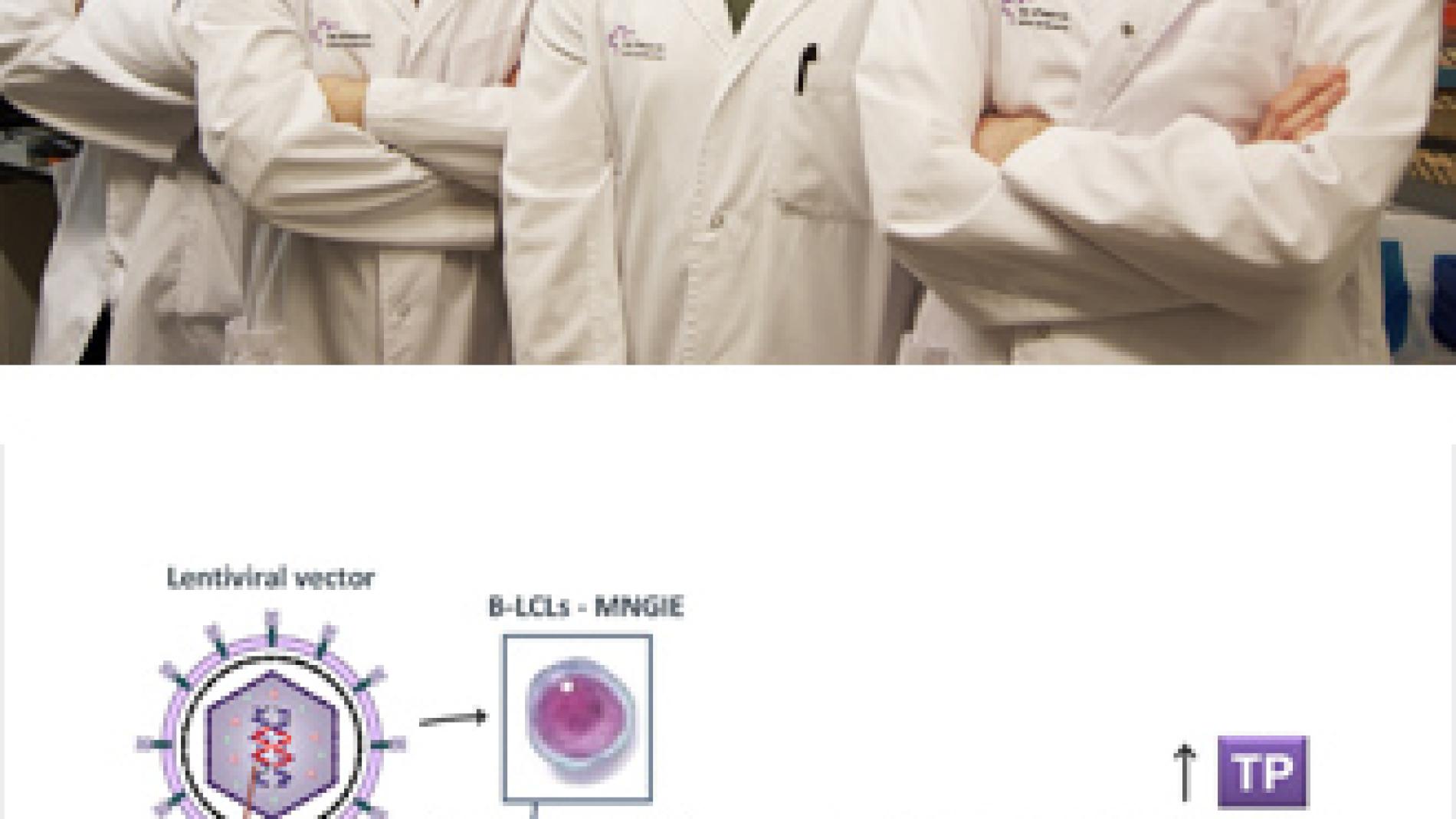 2011_0071_2011_0071_IMATGE