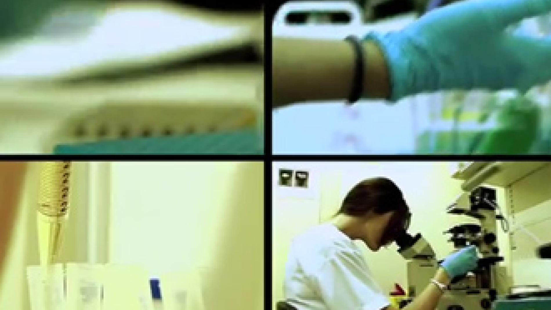 2011_0077_2011_0077_IMATGE