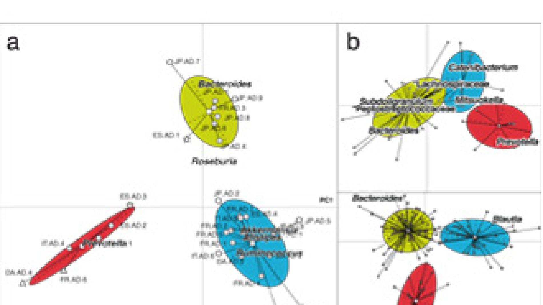 2011_0080_2011_0080_IMATGE