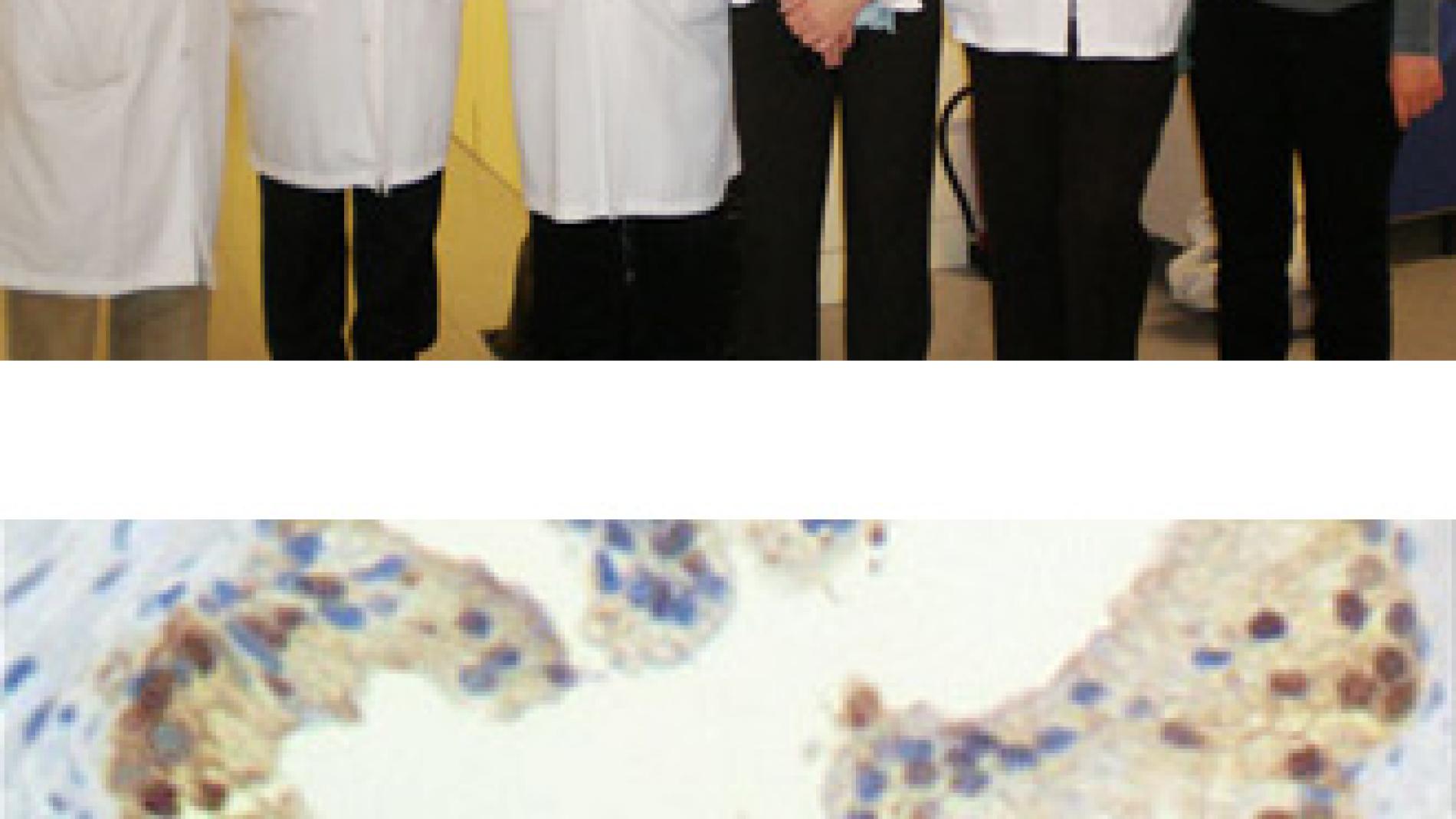 2011_0114_2011_0114_IMATGE