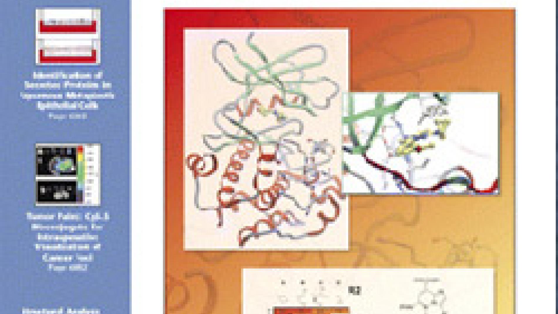 2011_0157_2011_0157_IMATGE