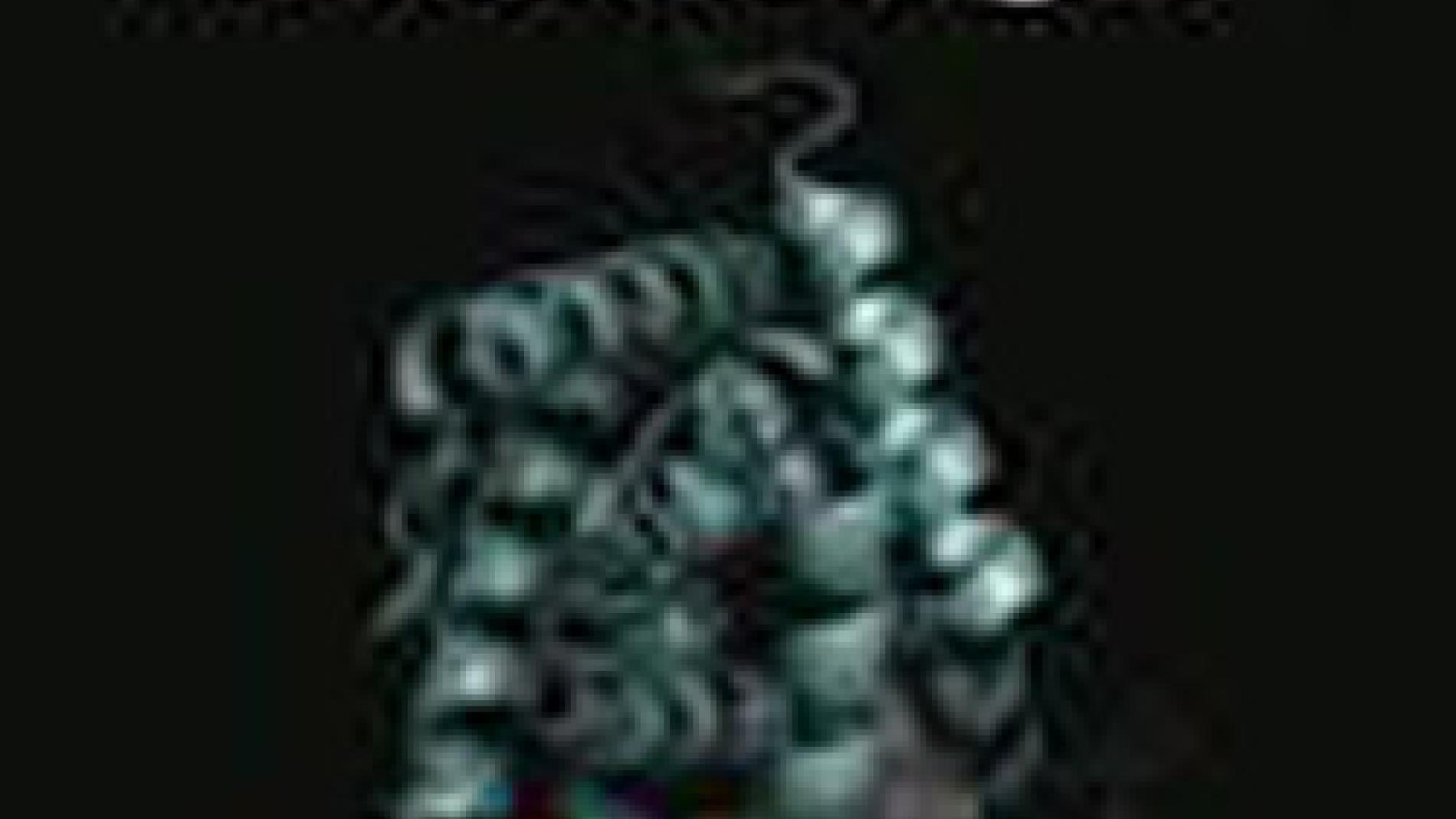 2011_0167_2011_0167_IMATGE