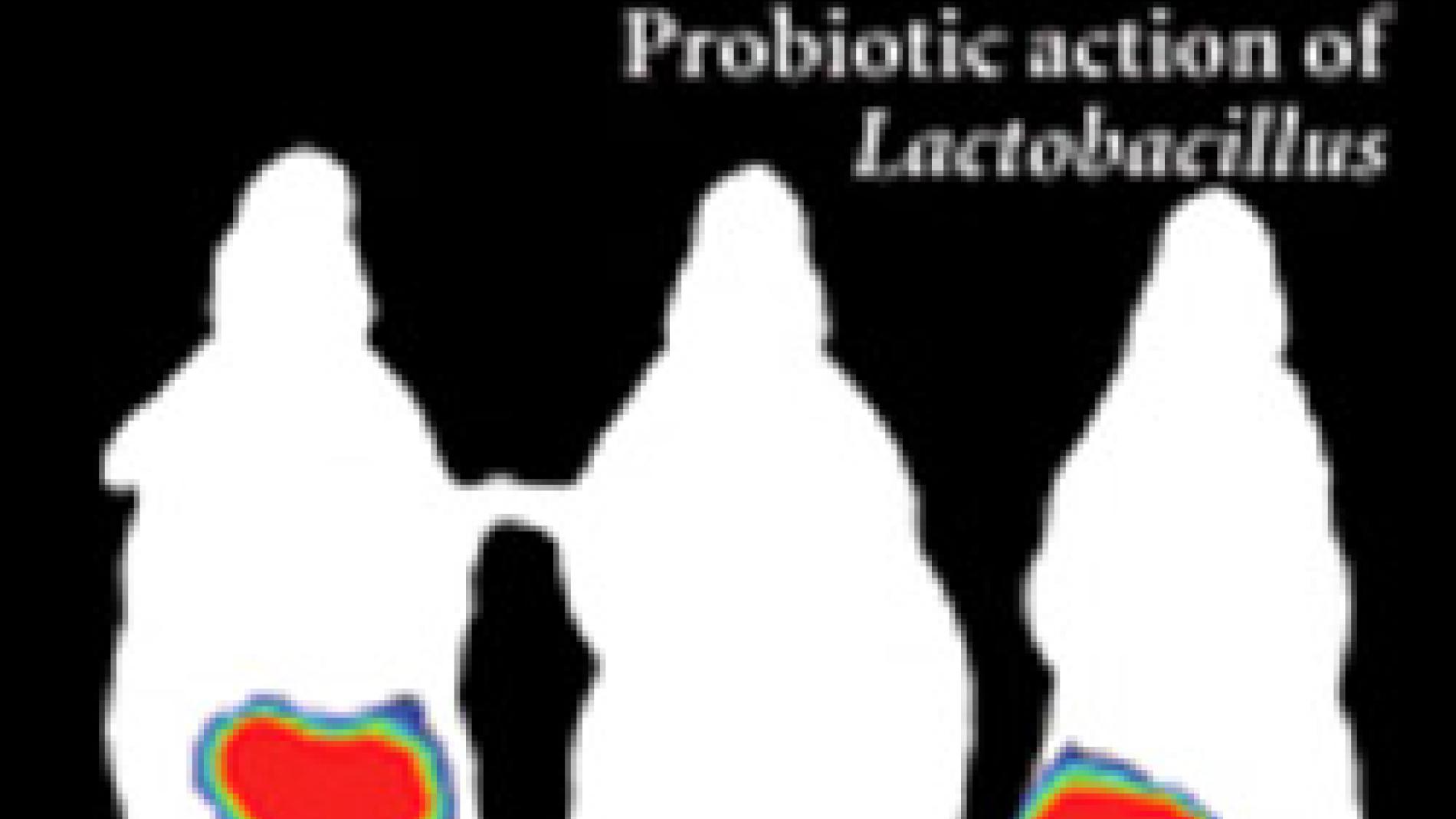 2011_0168_2011_0168_IMATGE