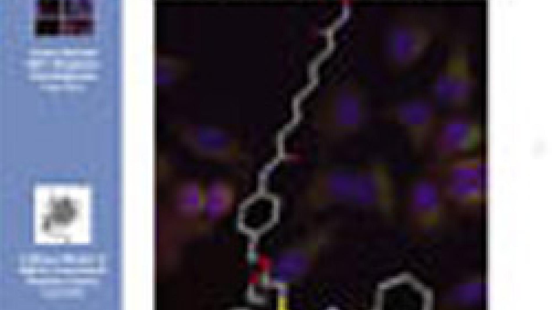 2011_0194_2011_0194_IMATGE