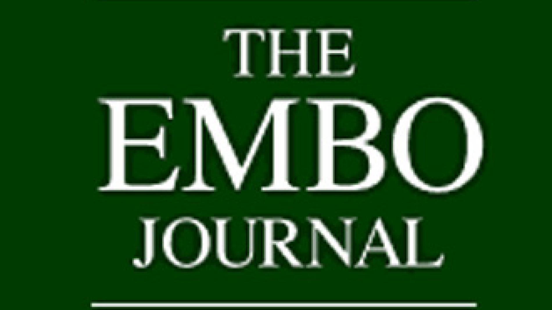 2011_0199_2011_0199_IMATGE