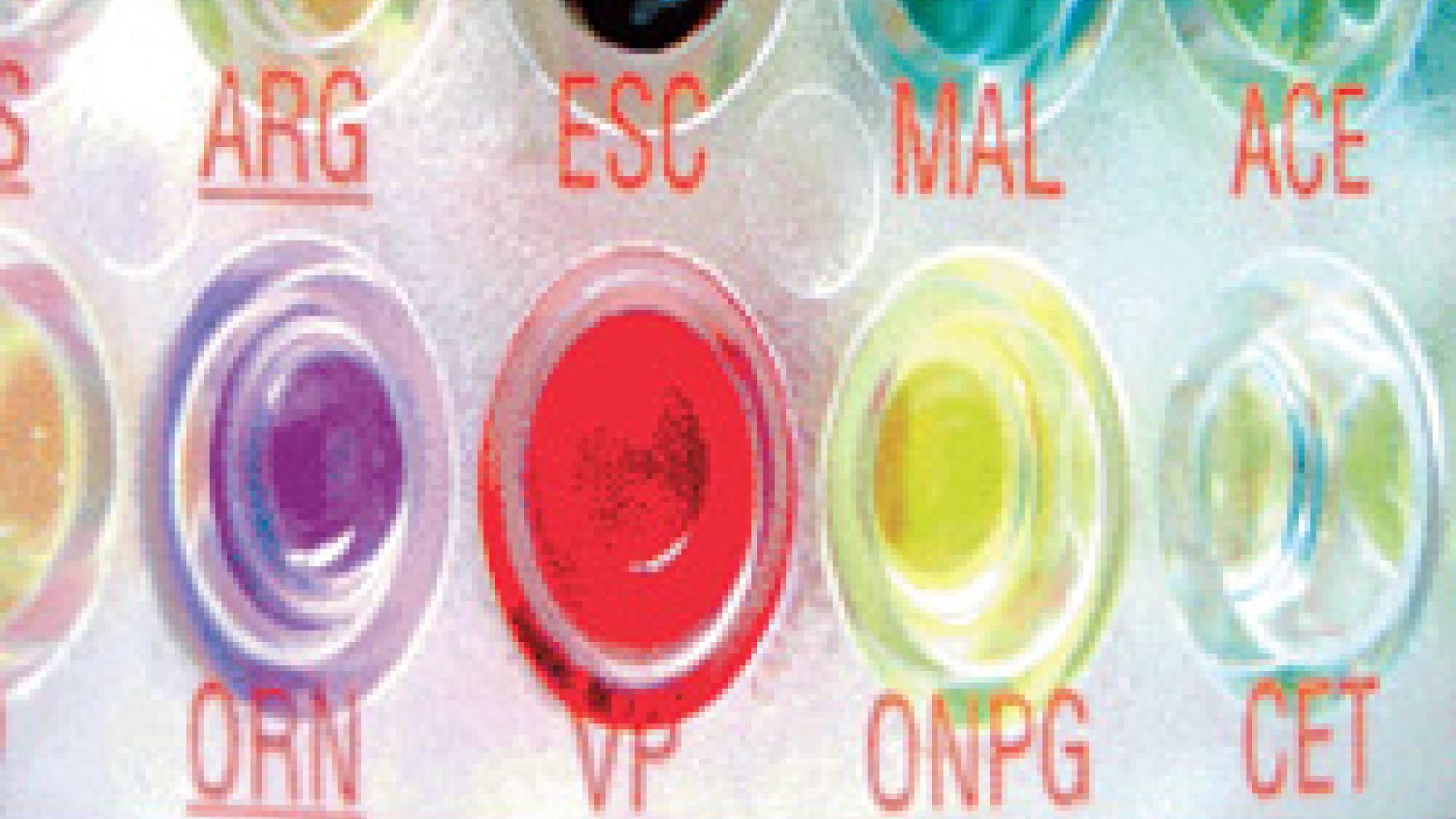 2011_0204_2011_0204_IMATGE