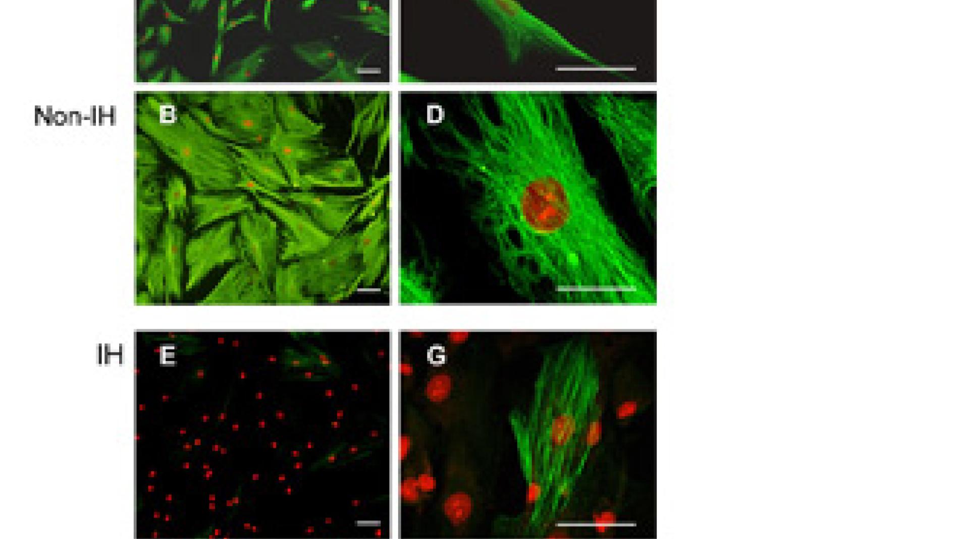 2011_0248_2011_0248_IMATGE