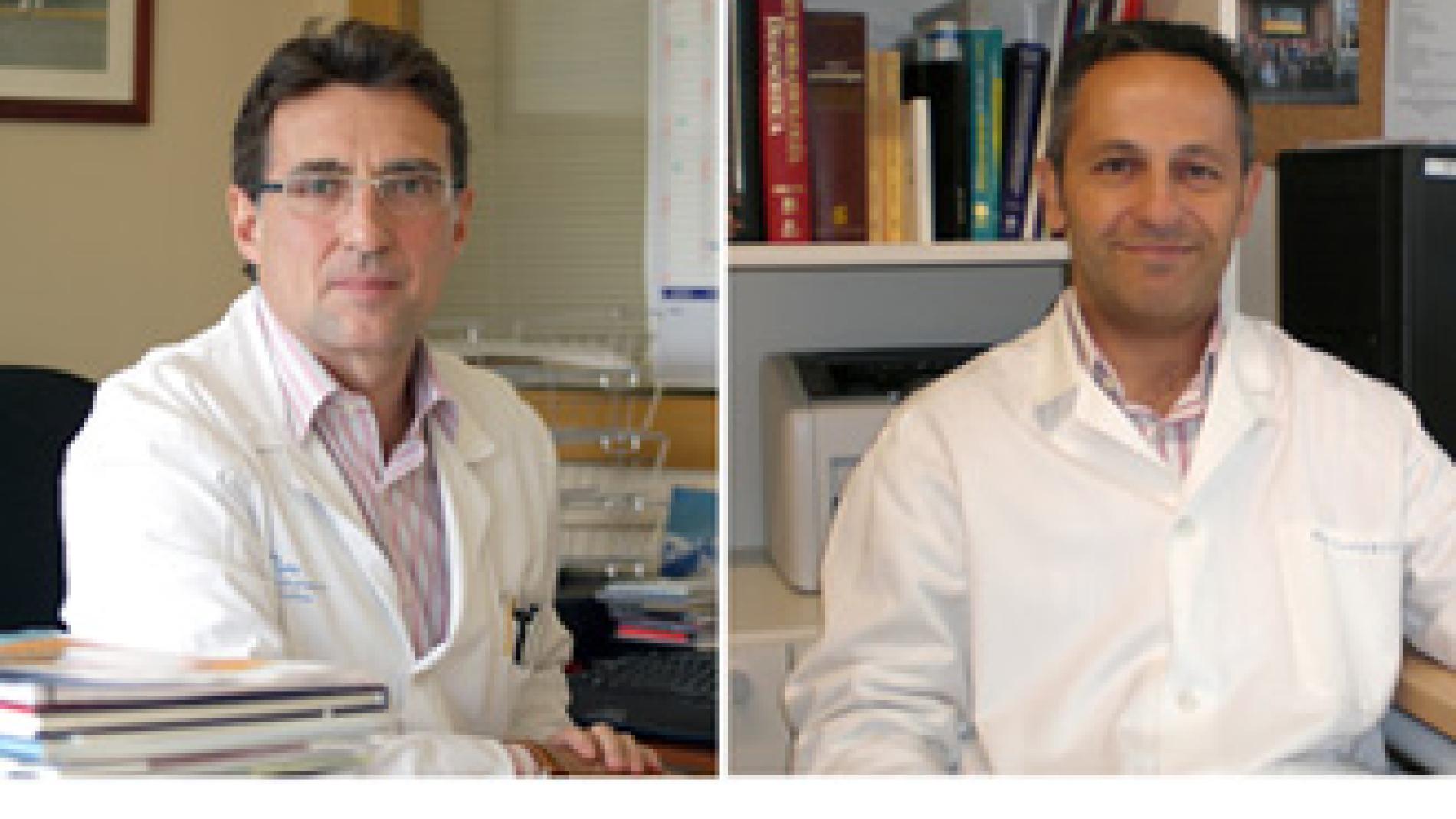 2011_0272_2011_0272_IMATGE