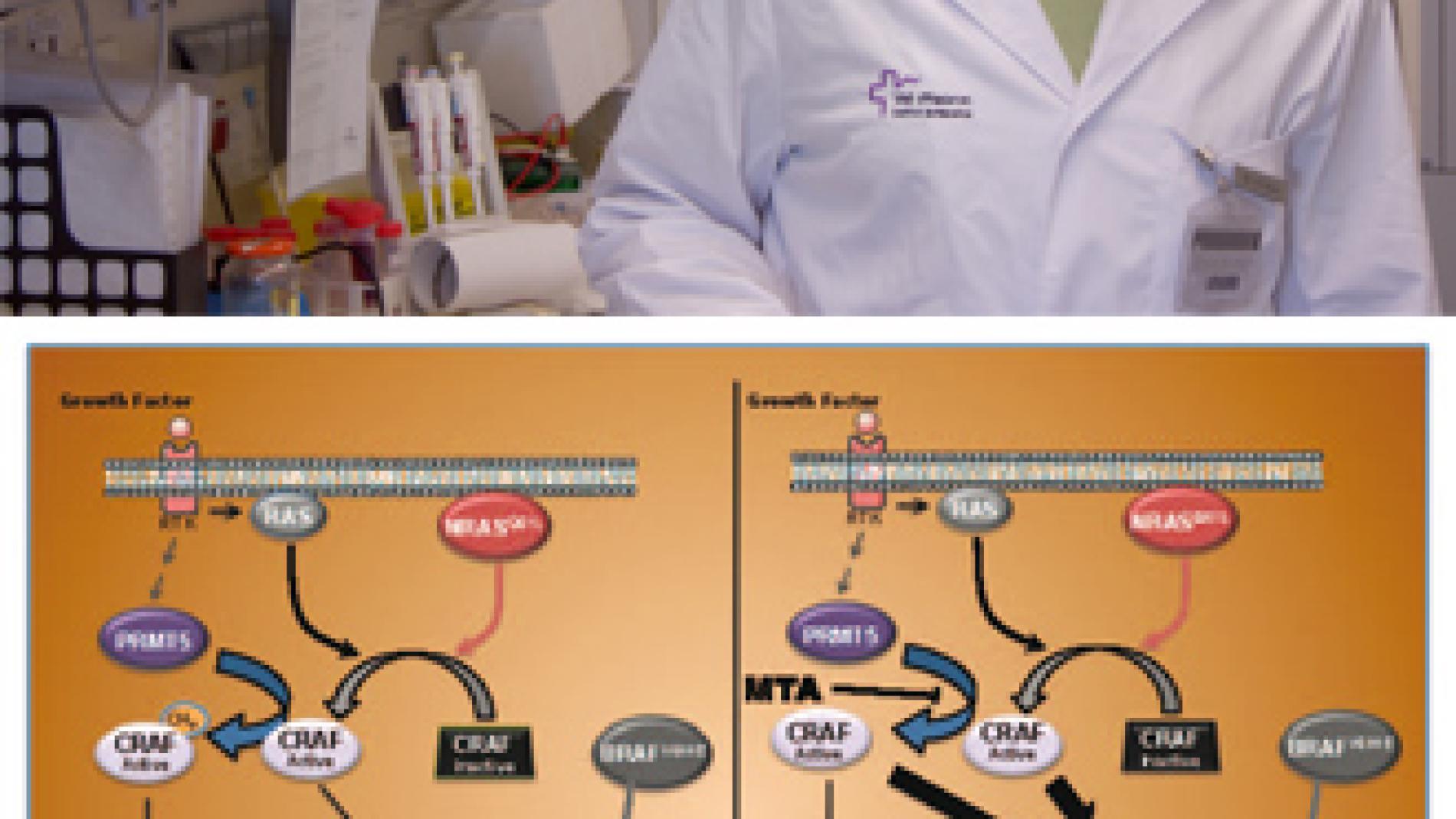 2011_0280_2011_0280_IMATGE