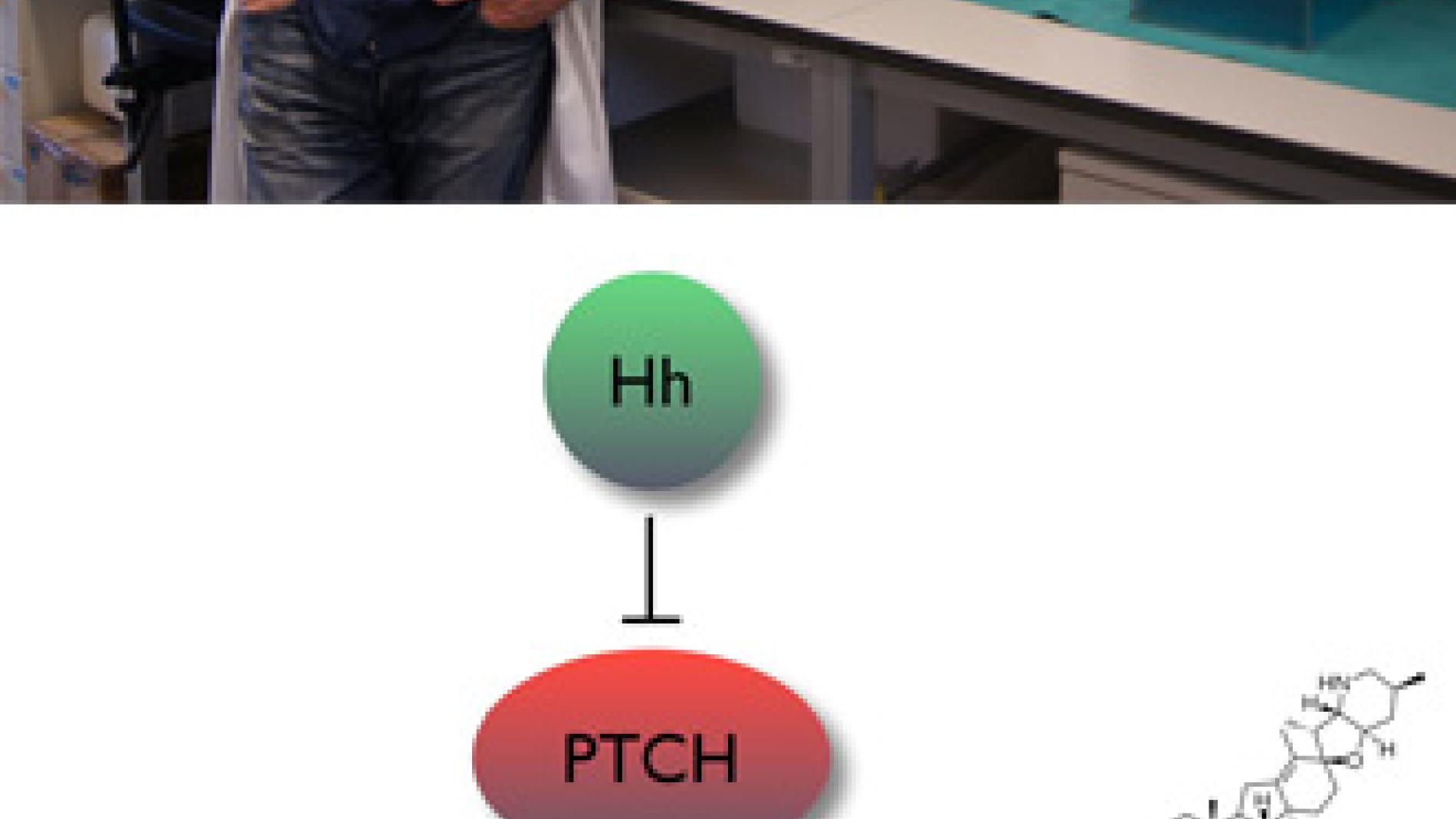 2011_0293_2011_0293_IMATGE