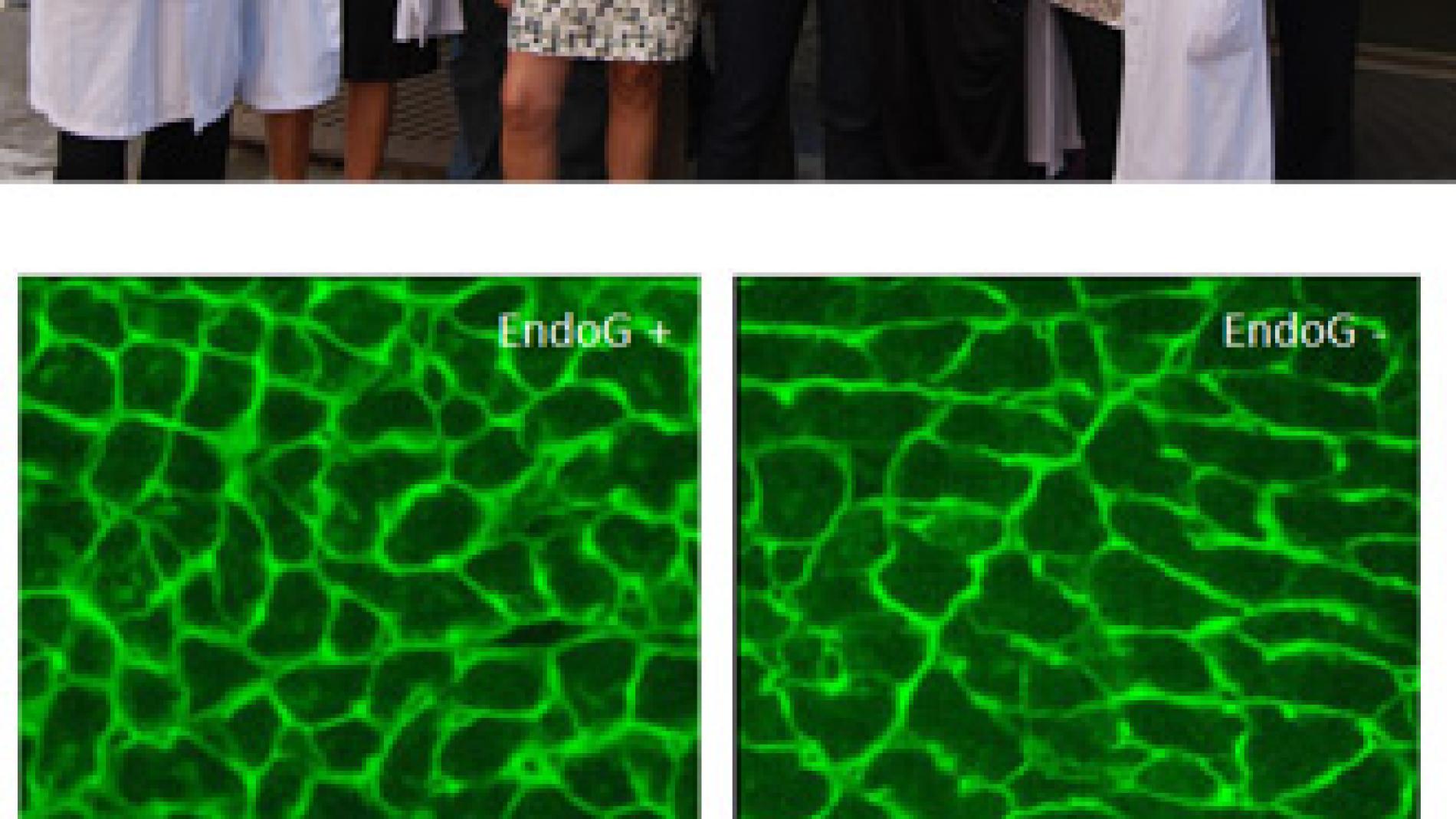 2011_0302_2011_0302_IMATGE