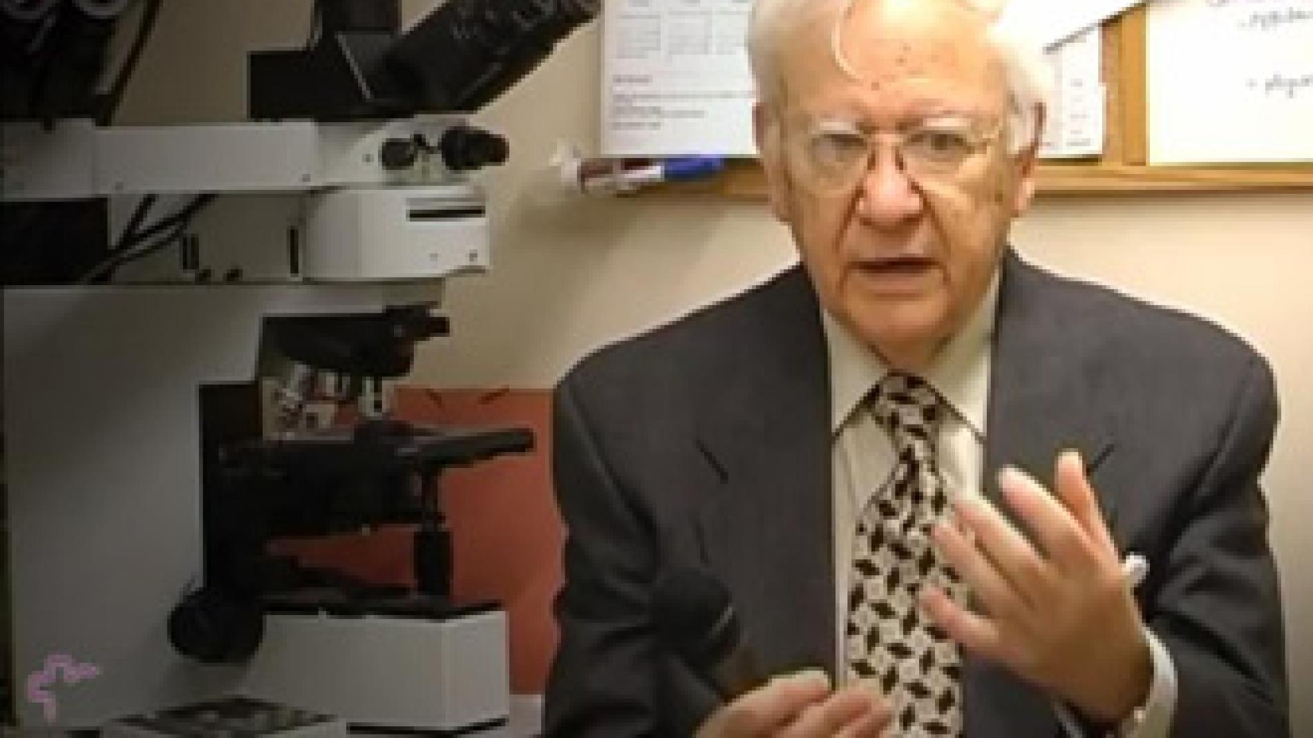 2011_0308_2011_0308_IMATGE